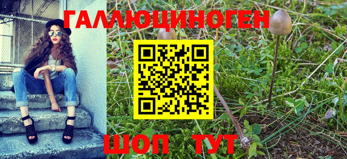 Псилоцибиновые грибы Cubensis Видное